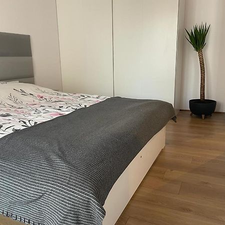 The Botanic Corner Apartment ヴロツワフ エクステリア 写真