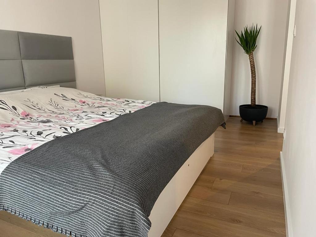 The Botanic Corner Apartment ヴロツワフ エクステリア 写真